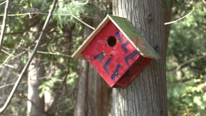 craft time paint bird house