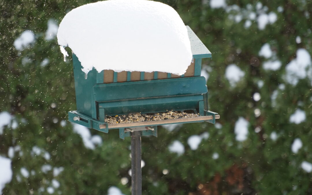 First Snowfall