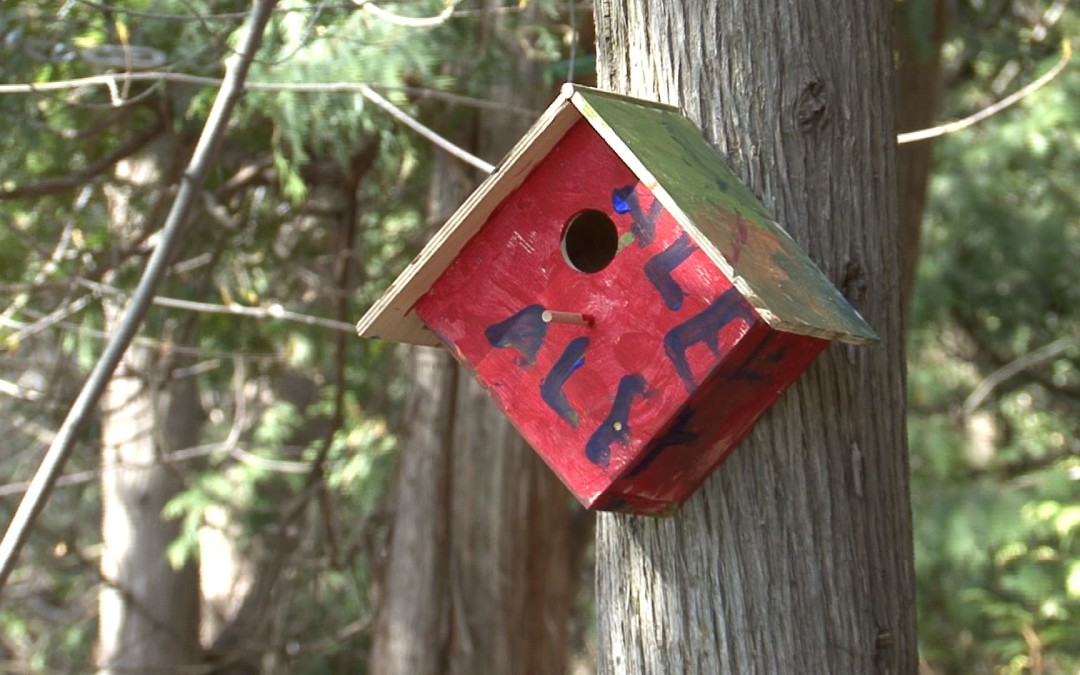 Painting Your Bird House