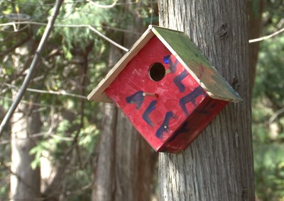 Painting Your Bird House